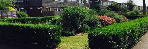 DannyBgrmo1 Profile Banner