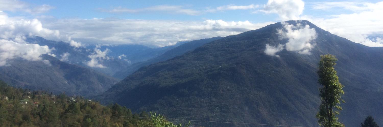 organic_sikkim's profile banner image
