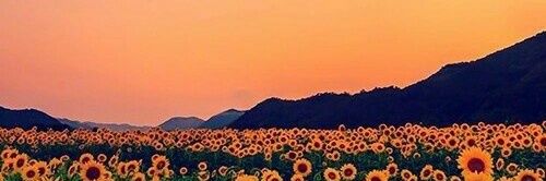 Ariennispaola_'s profile banner image