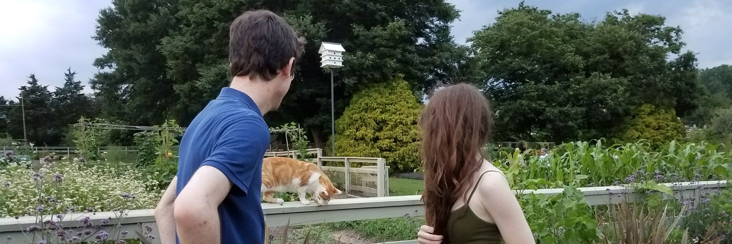 Valerie Allyson Wonderland banner