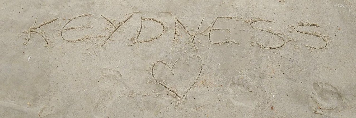 monas gerais 🔺 banner