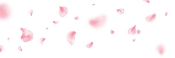 iimemo28's profile banner image