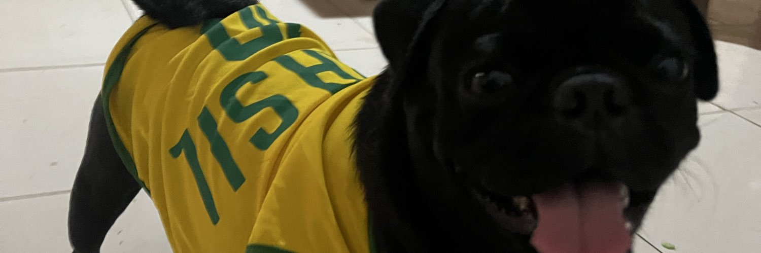 agrotoneto's profile banner image