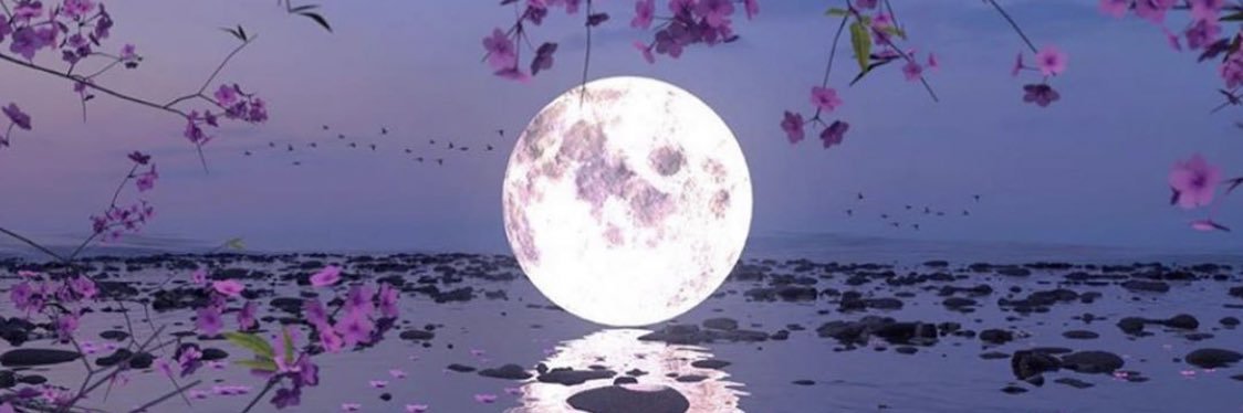 dorna__k's profile banner image