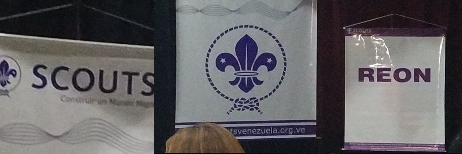 Región Miranda ASV banner