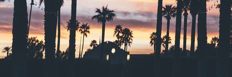 AimeSantander1's profile banner image