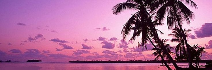 Ivyvfklw's profile banner image