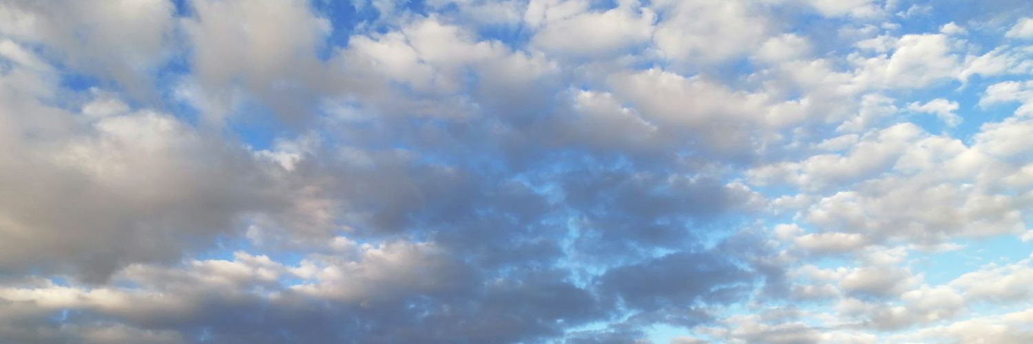 ErikaWoolrich's profile banner image