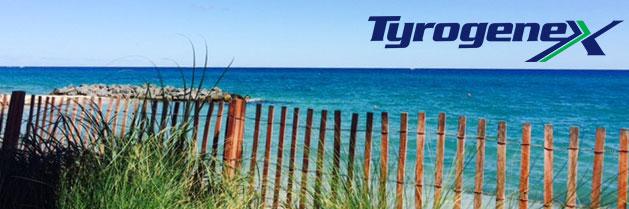TyrogeneX82's profile banner image