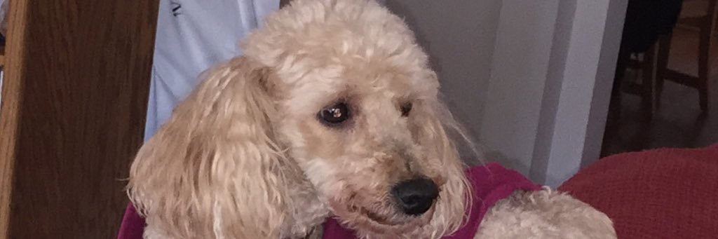 Bigjester50's profile banner image