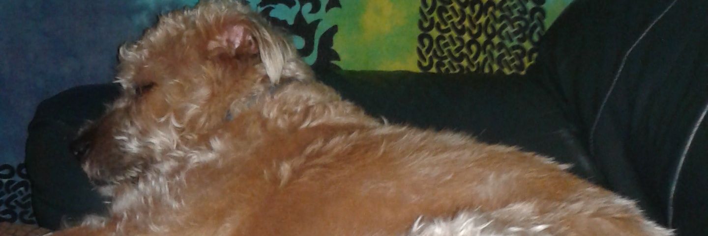 mmboo1's profile banner image
