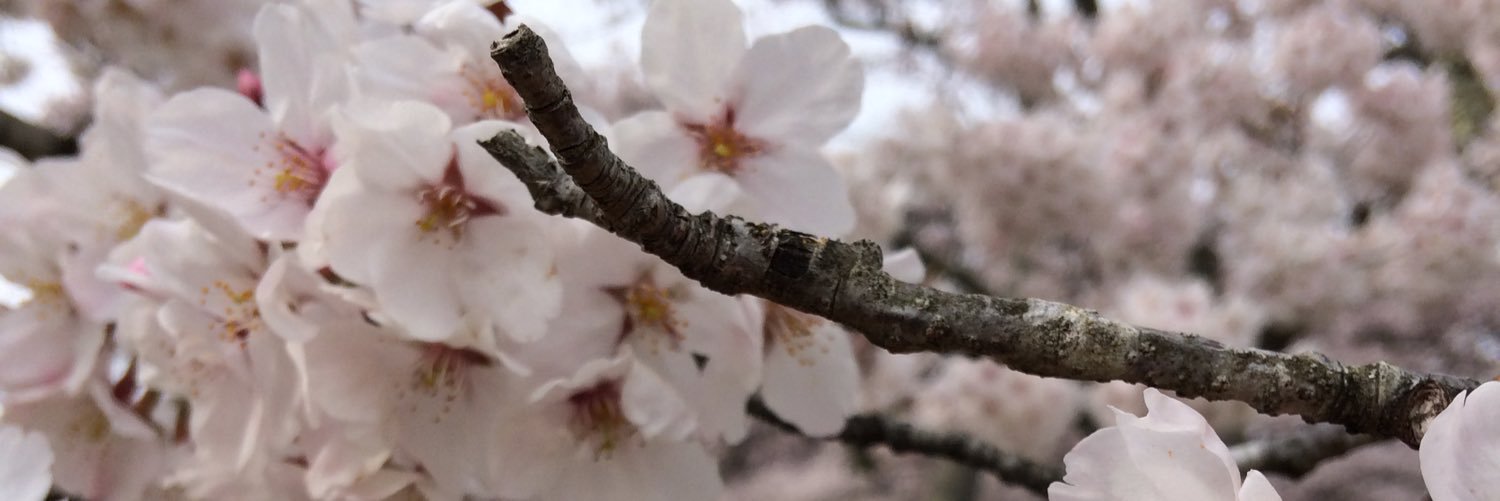 ayc3110's profile banner image