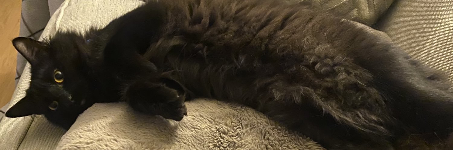 amyhibbert_'s profile banner image