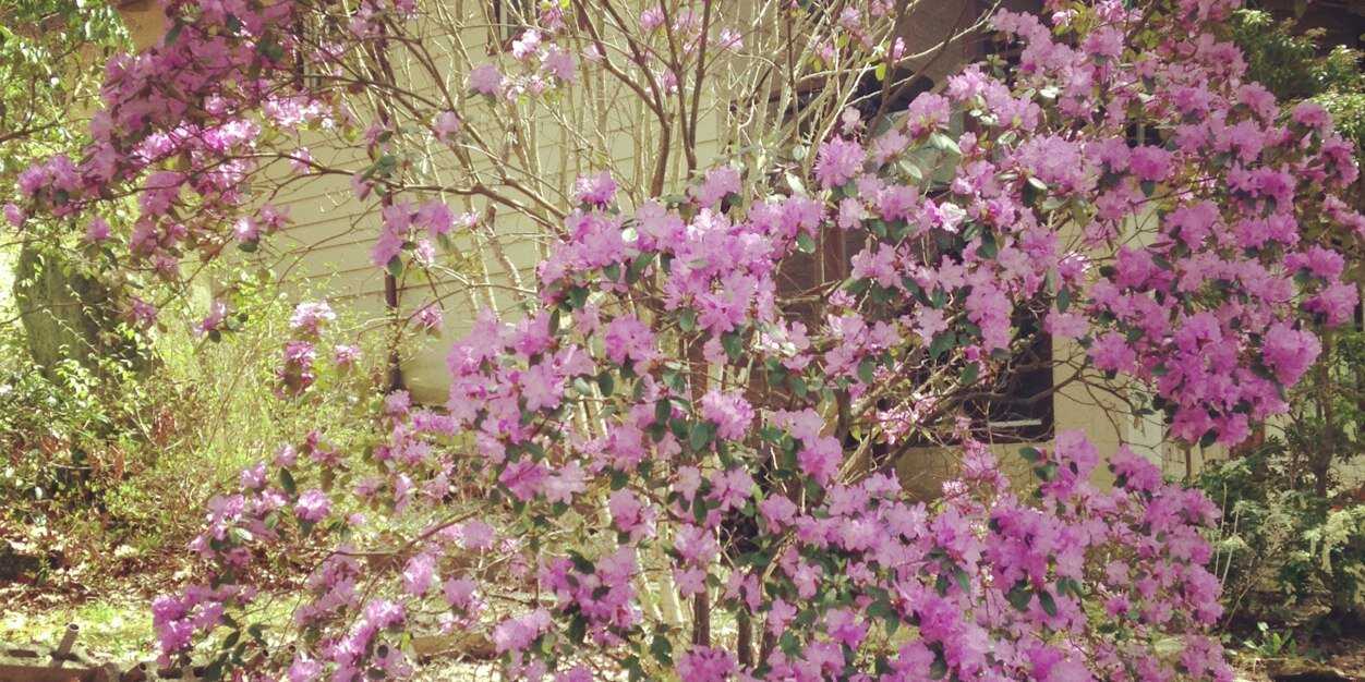 Tu_Shu's profile banner image