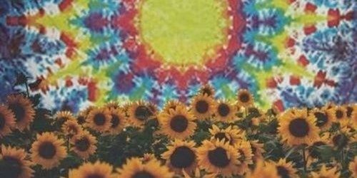 nessaleiii's profile banner image
