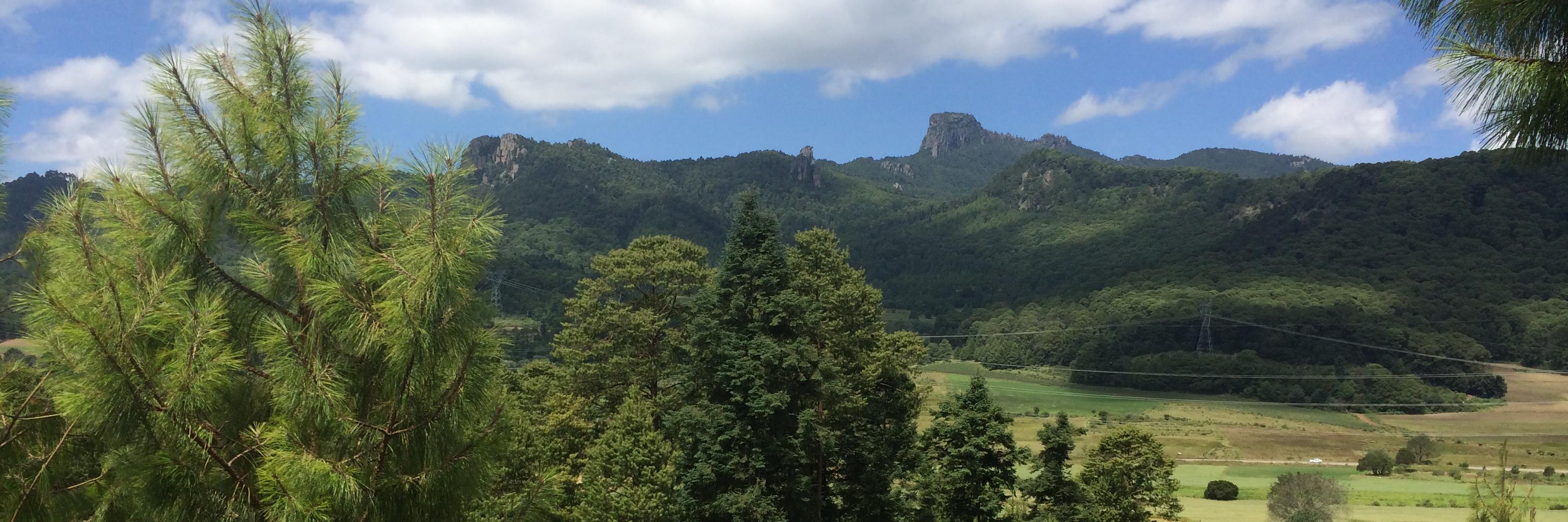 AngyBreton's profile banner image
