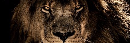 DrTDeering's profile banner image