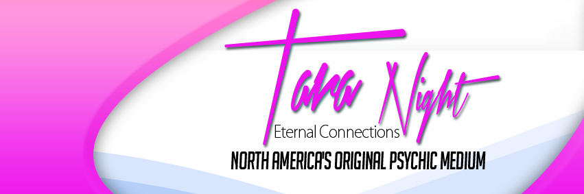 TaraNightSees's profile banner image