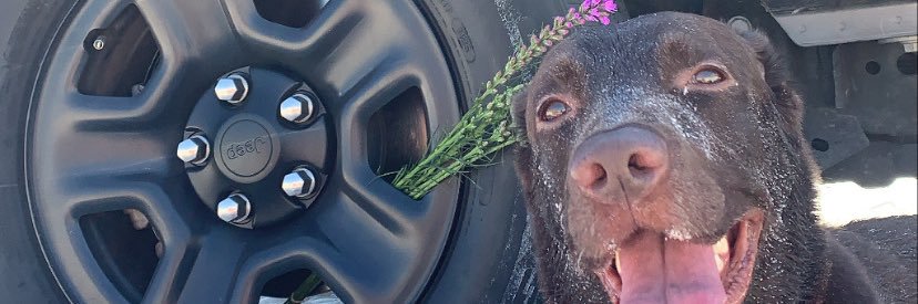 ryleemau's profile banner image