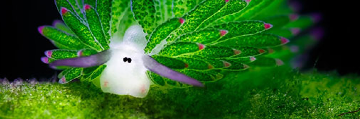 Xploraverse's profile banner image