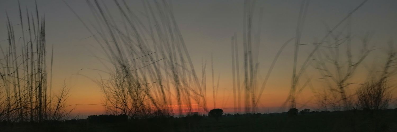 HumayunBasharat's profile banner image