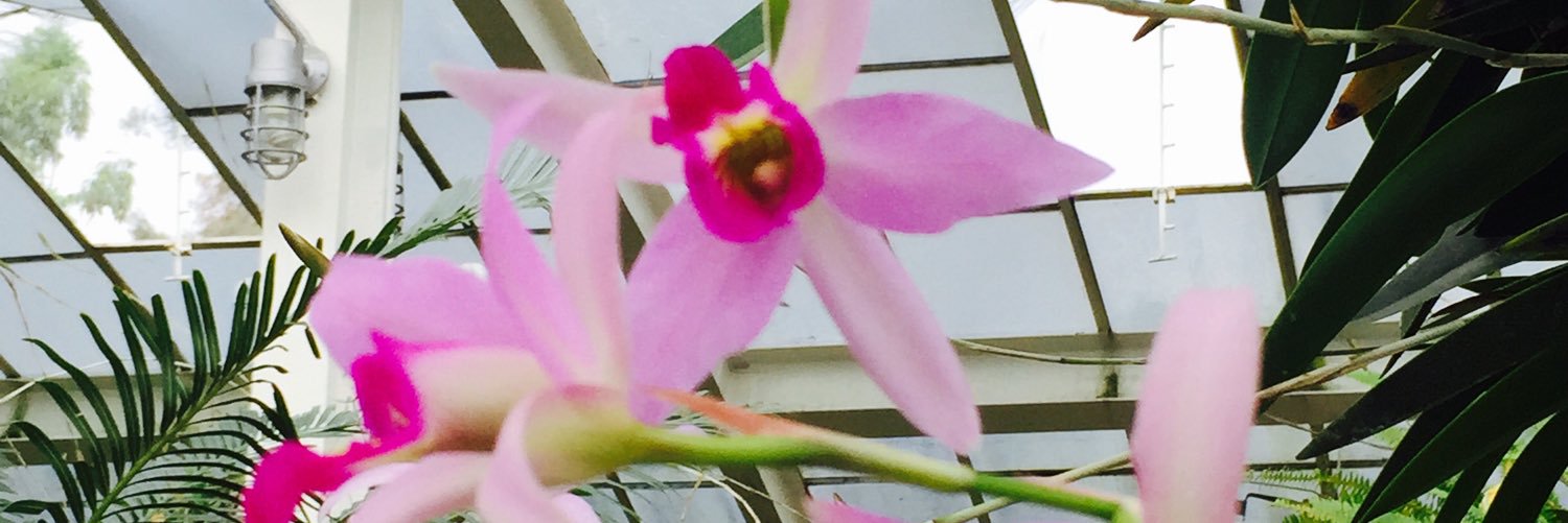 MitchellKarla's profile banner image