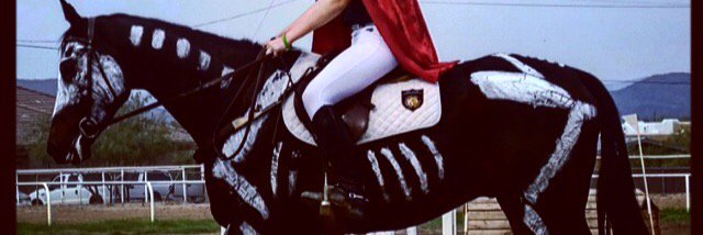lckequestrian's profile banner image