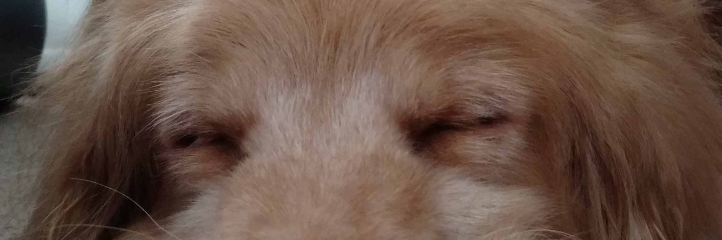 HCDrBlack's profile banner image