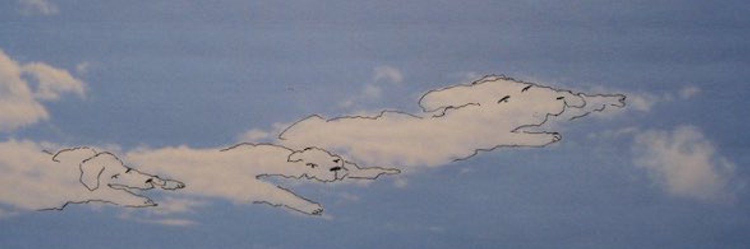 kenny banner