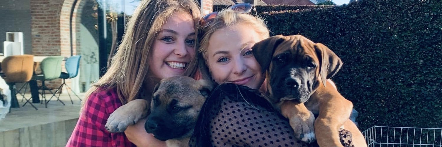 MarieDodm's profile banner image