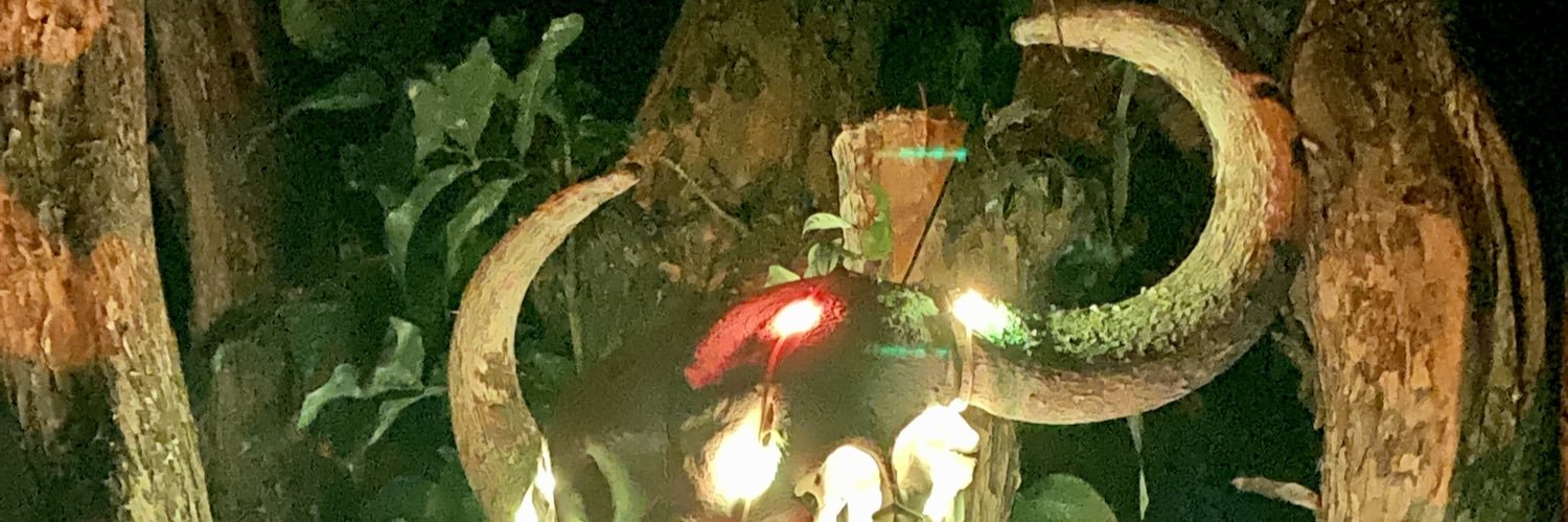 pleasegeaux's profile banner image