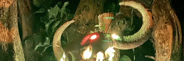 pleasegeaux Profile Banner