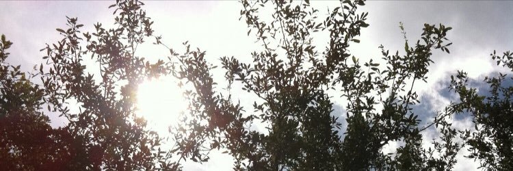 hguiette's profile banner image