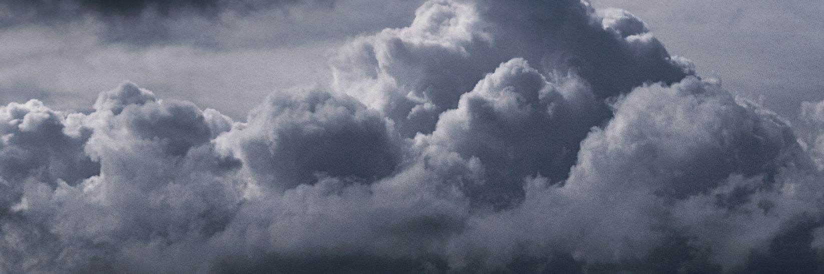 elisxera's profile banner image