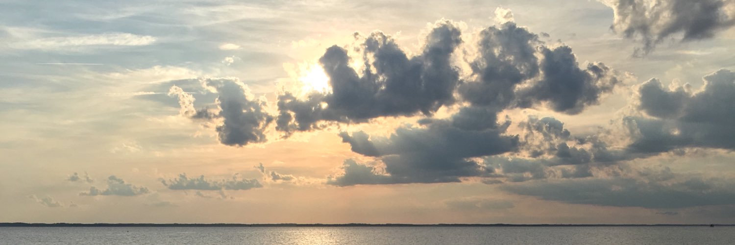 sam_greenebaum's profile banner image