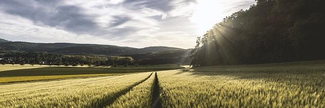 lymepolicy's profile banner image