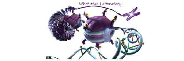 WhetstineLab Profile Banner