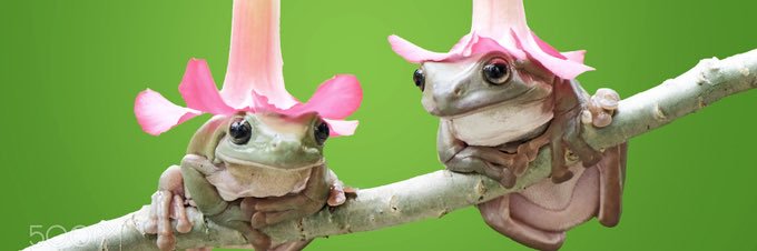 nandassj's profile banner image