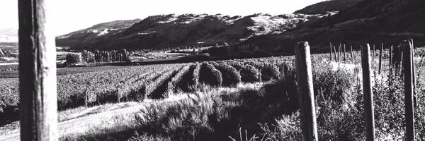 checkmatewinery Profile Banner