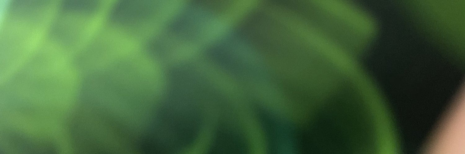 henroller2000's profile banner image