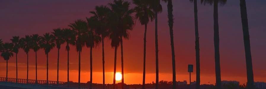 tracey_brill's profile banner image