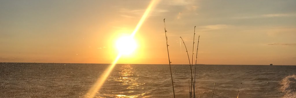 davisderrig's profile banner image