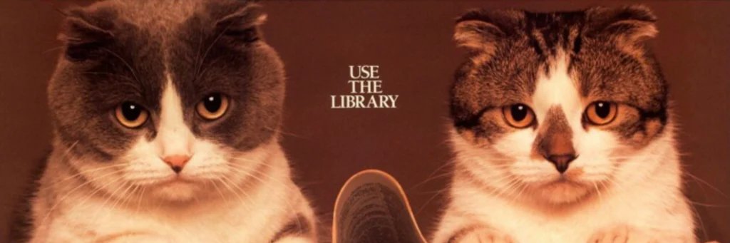 Blackwater Regional Library banner