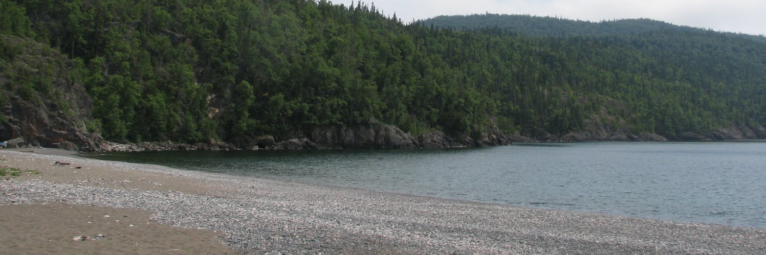 t i m e l a s s banner