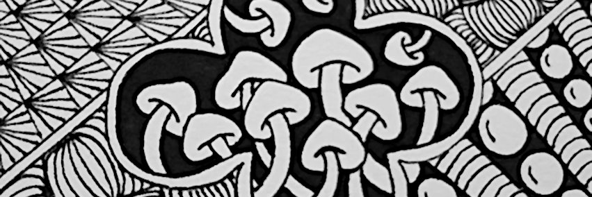 DOKO KINOKO?! banner
