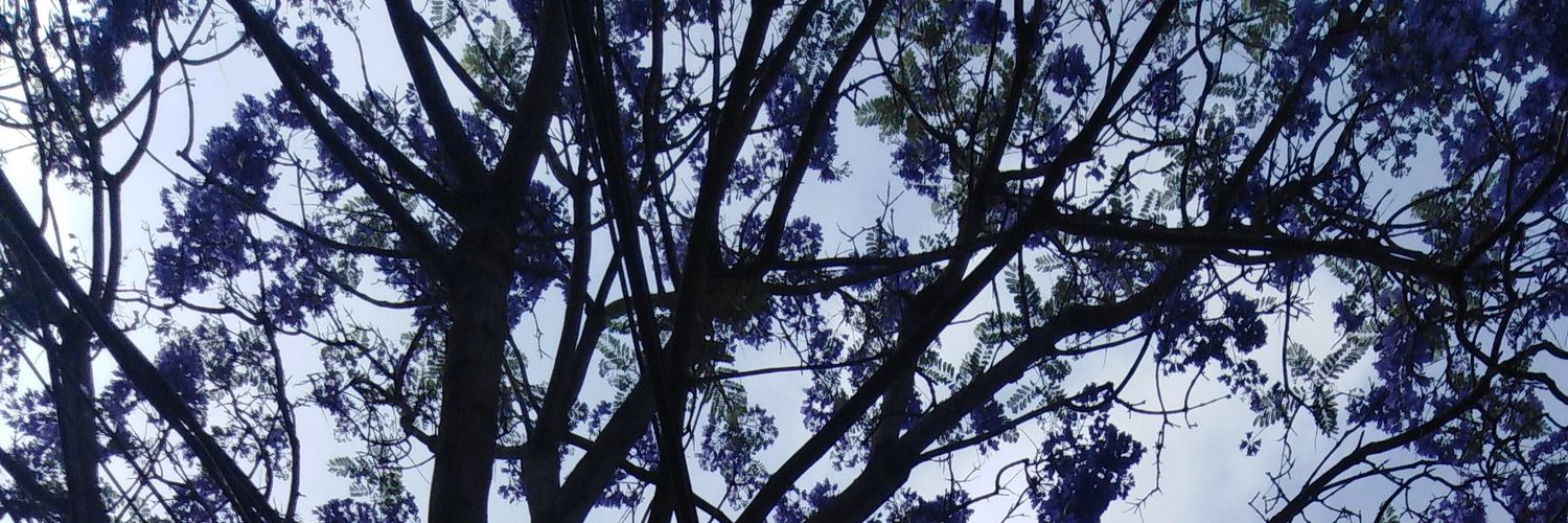 myaroark's profile banner image