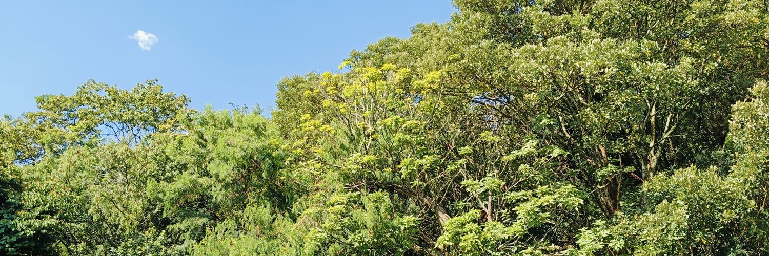 Pablorpo5's profile banner image