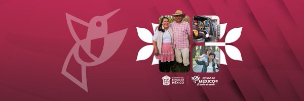 MexibusInforma Profile Banner