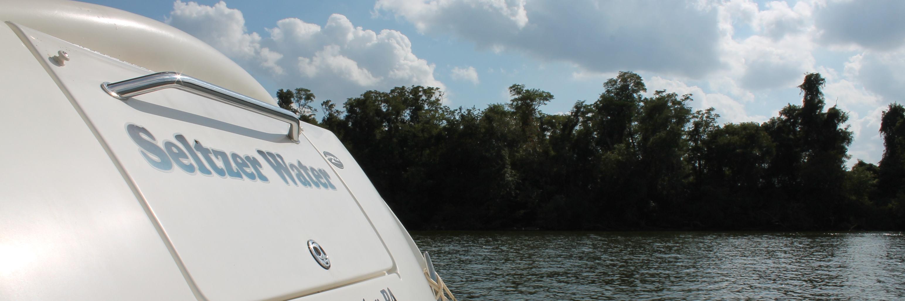 DianeSeltzer's profile banner image