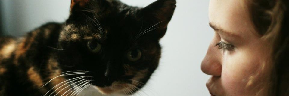 ritalauren's profile banner image